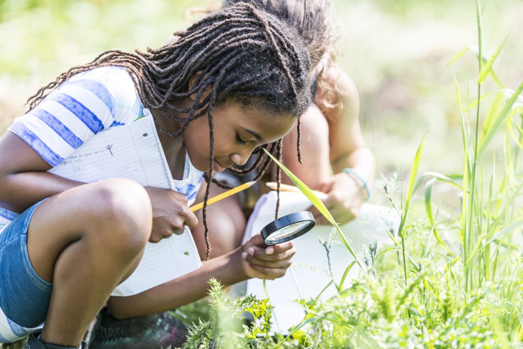 News: Effects of Citizen Science