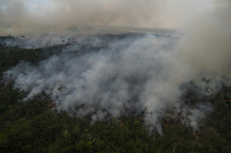 At COP-26, the NGO draws attention to the ‘critical situation’ in the Amazon: ‘Emergency’