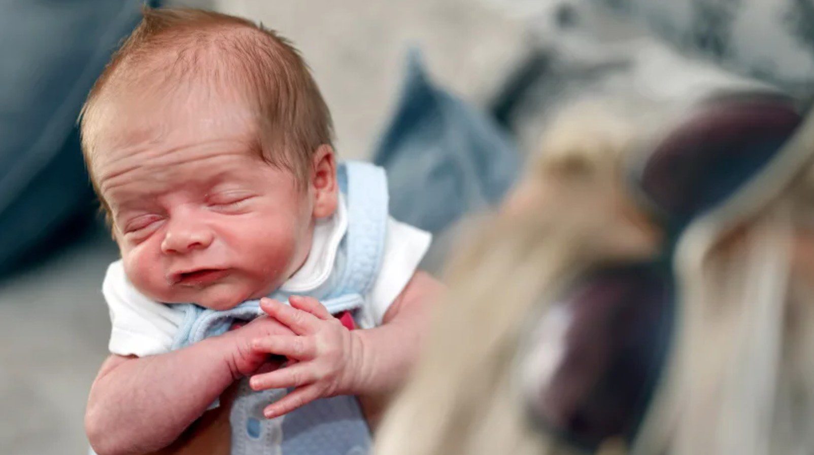 Little Tanner-Jacks Gregory Knott (Photo: Media Wales)