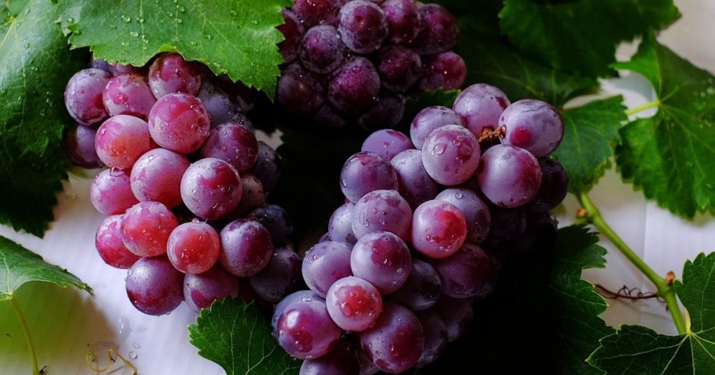 The miracle of eating two cups of grapes every day.  Check the reason